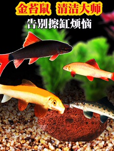 ��̦���̦���~�Ꭷ�^�p�~��������~�׳����~�坍�~�������~���~