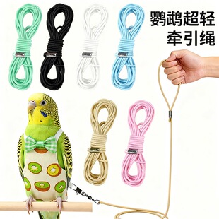 �羳���R�d�W�^�w���K���Lĵ������������B�����������w�K�B���
