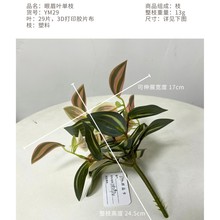 ����W�y�~3D��ӡ�Gֲ���Աڒ�ֲ��b����l���ֲ��