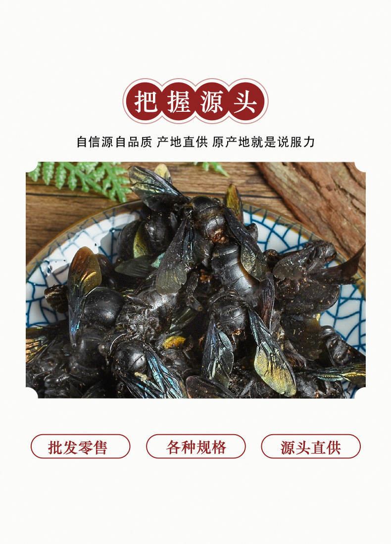 Bamboo Bee (Xylocopa dissimilis) — Dried TCM Insect Material, 500g Bulk Lot key features