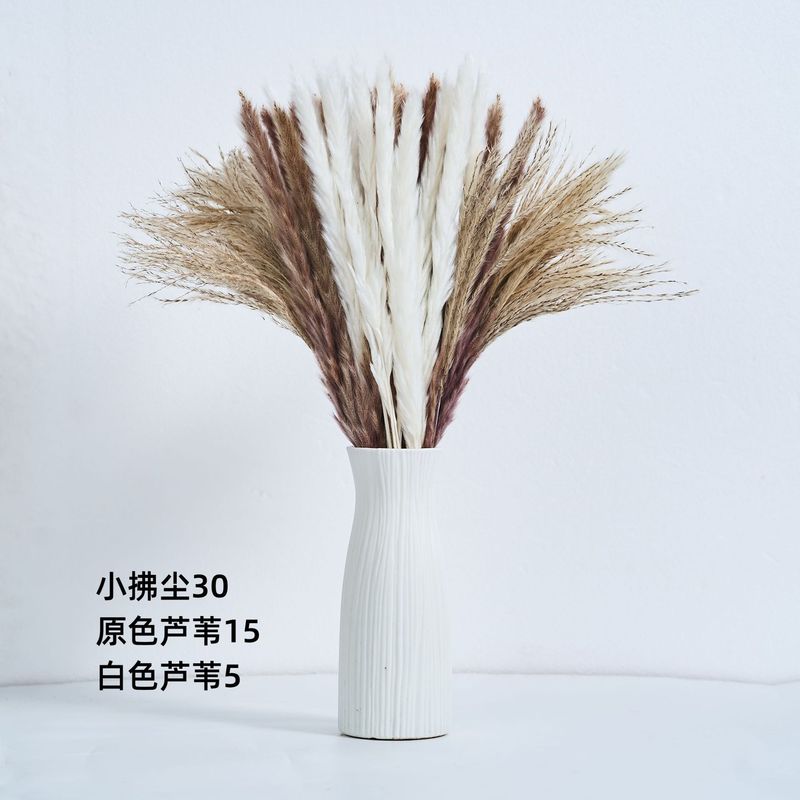 アマゾンはよく売れています。葦の花の花束です。|undefined