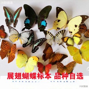 ������˱����x�˱��߽̾̌W�˱���չ������Է���b���ó�