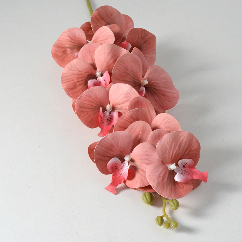 Harina de carne No. 2