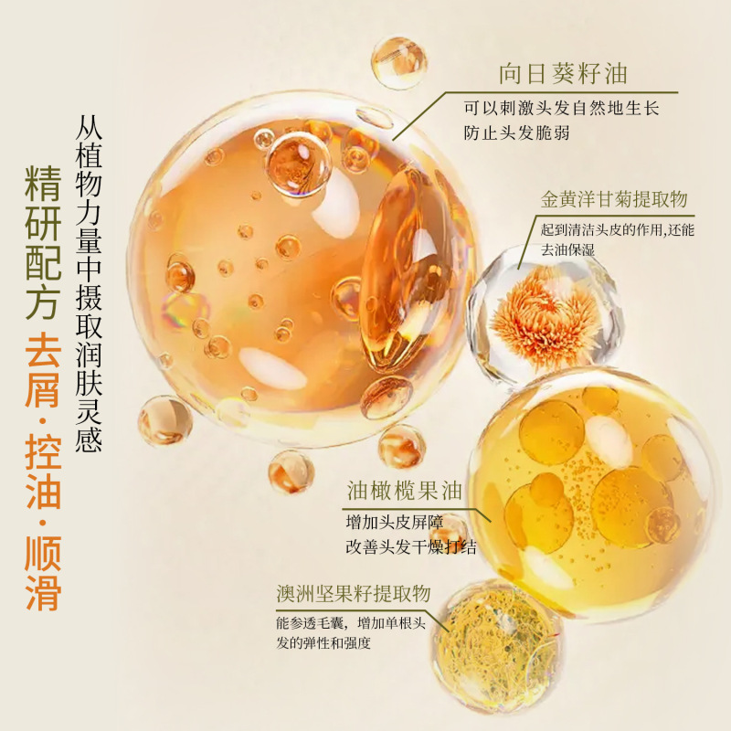 洗发洗护发套装去屑控油柔顺护发乳沐浴露理发店洗发水草本配方|undefined