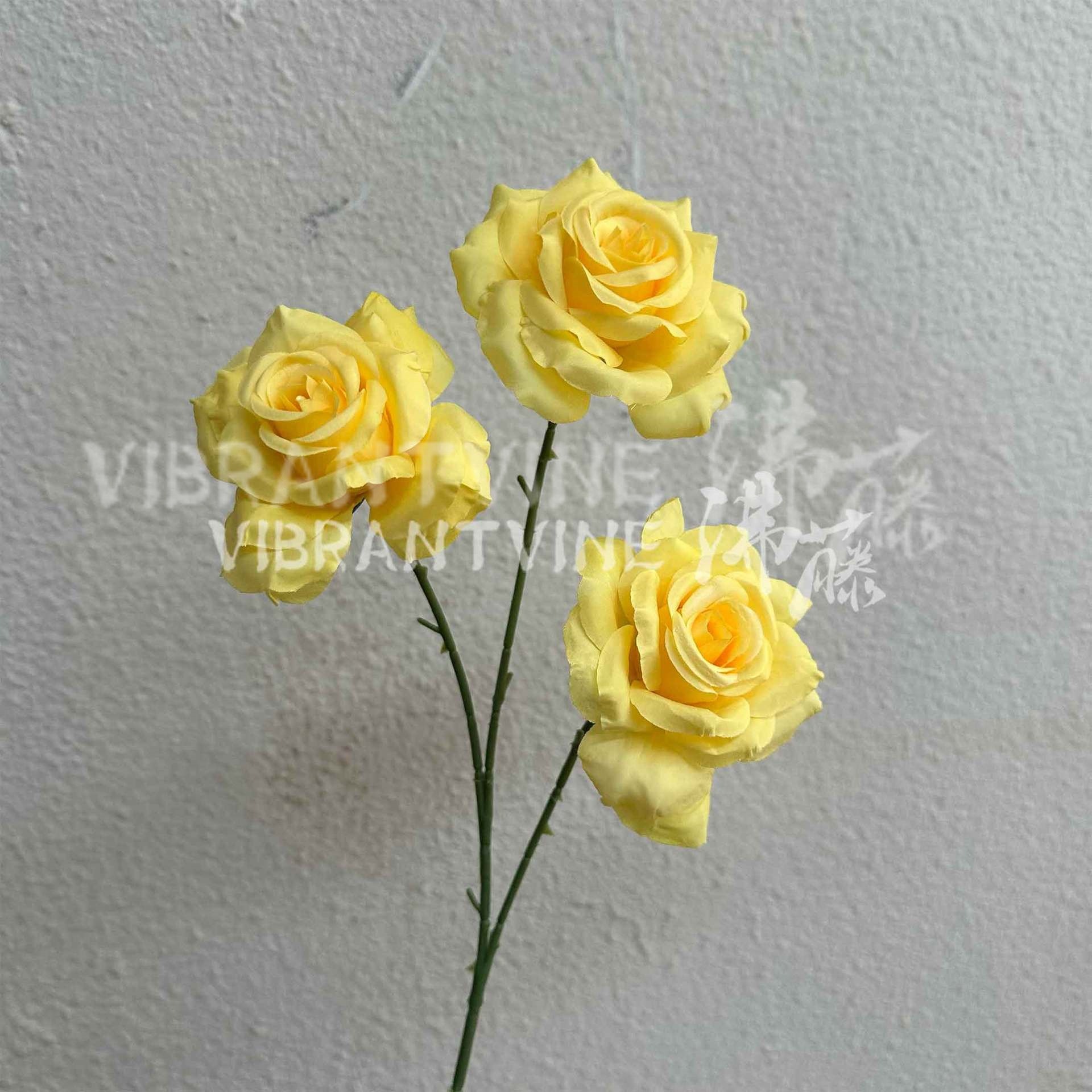 Yellow star and moon rose