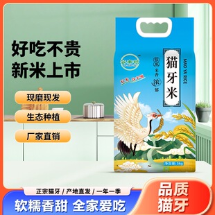 �������׬F�l20��؈�������r�����������1��������׼����