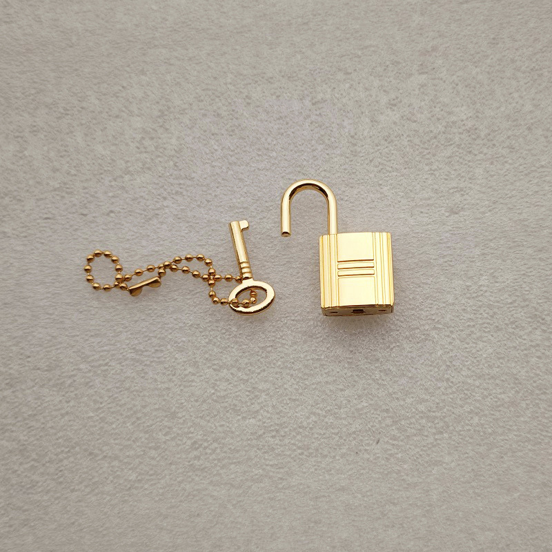 Accesorios metálicos rectangulares de placa de bloqueo doble D gancho de tornillo de bloqueo arco pequeño platino Kelly bolso de mujer tornillo de clavo