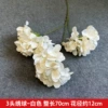 Three -headed hydrangea white