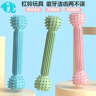 Toy, teether, interactive food play, new collection, pet, can bite