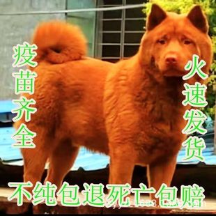 ���A��@Ȯ������tȮ��tȮ��Ȯ�����Ї��V����tȮ���̹���Ȯ