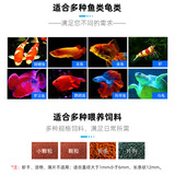Ivas автоматически кормил рыбу Koi, Koi Arowana Parrot Goldfer Turtle Curtle Intellagent Regular Feeler Size емкость