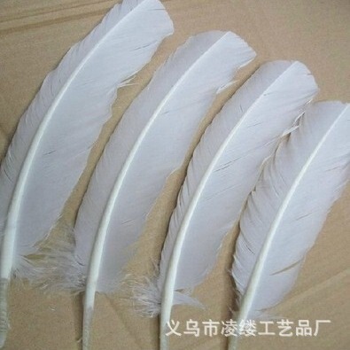Supply turkey nest feather feather feather feather broadsword headdress accessories turkey feather photography props
