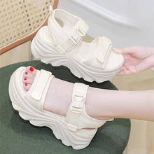 �羳Ʒ�ƺ�׸߸���ЬŮ2025���¿��ɸ�ܛ������ɳ�����e����ЬŮ