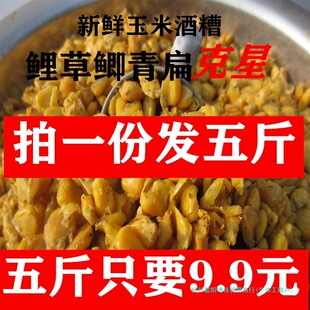 �ω��l�����׾���С��Ұ឴�C�C���~�D����ˮ���a�~���~���~���~