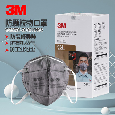 3M口罩3M9541/9542耳戴头戴KN95口罩防甲醛防雾霾颗粒物装修
