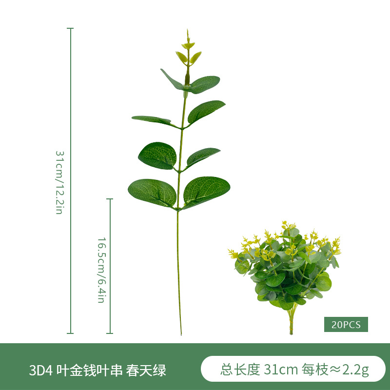 3D4 잎 돈 잎 문자열 봄 녹색 A09644