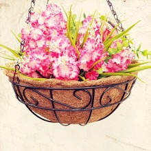 ���S���aֱ�NҬ�ص��@�Ғ�ʽ���������Fˇ���h��ڒ���촹������