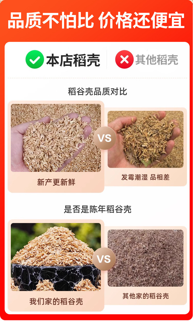 8c446f43-269c-4c74-8bdc-f80a403a30d0.jpe