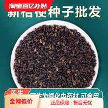 Ľ۹Nؼ۹NѴļNֲ繷̲˷Nӿșʳ