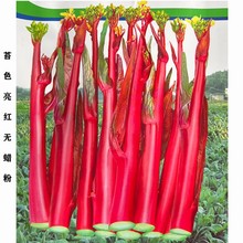 �t��̦�߲˷N�Ӳ���ʮ�¼t�ϲ�̦�t��̦��ͥ�Nֲ�ļ��̨ͥԺ�ײ�