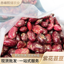 �S�����l�����ϻ�ܿ�� �r���Ԯa�����ļ��� �ϻ����������s�Z