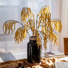 ���滨Ǽ��β���{�ɻ���ɫ�廨ˇ�g�͏d�����b[�O�e���͹�