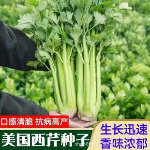 �������۷N�ӌ����۴�������۷N���＾�ļ����N���۷N��������@