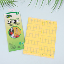 苍蝇贴新型双面黄色粘虫板诱捕飞蛾果蝇昆虫片5pcs外贸批发昆虫贴