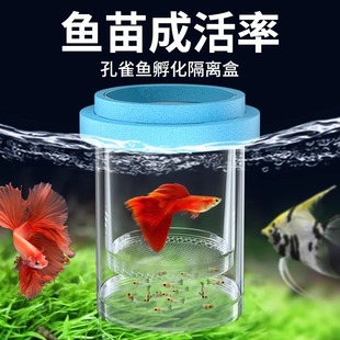 Fish Tank Isolation Box, Hatching Box, Guppy and Phoenix Tail Breeding Box, Small Fish, Juvenile Fish, Fry Tank, Non-Acrylic Nursery Room Outside the Tank