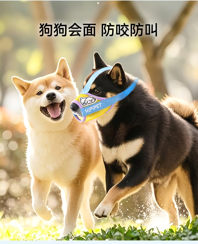 O1CN01ir0rY01QS8sNR5jWI_!!2206811161974-0-cib.jpg