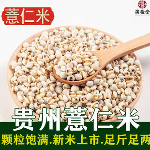 ޲������؛�F��޲����С����С���t���͌����������s�Z޲�����l