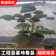 �����_�h�ɘ���@�־G����ľ���ɾ��^���ļ��������ӭ�������͘�