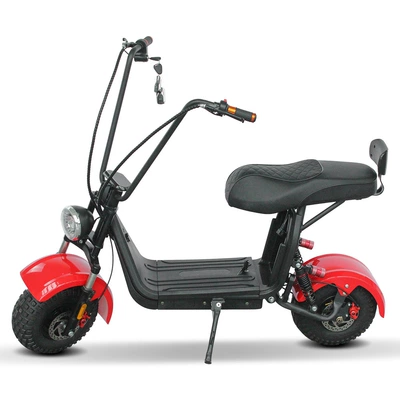 Warehouse Direct Delivery, Elektrikli motosikletlər
