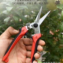 ̨�������������֦��752�@ˇ������֦������֦����ľ��֦����