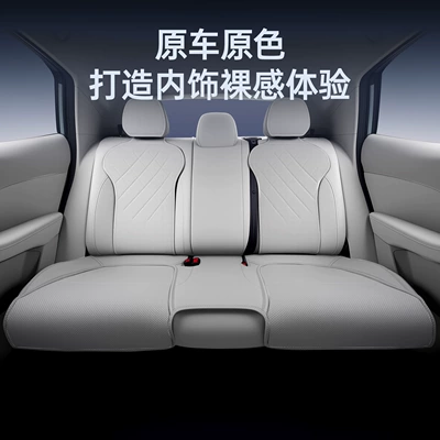 Leapmotor A10 Car Accessories, Modified Decorative: Seat cushion, seat cover
