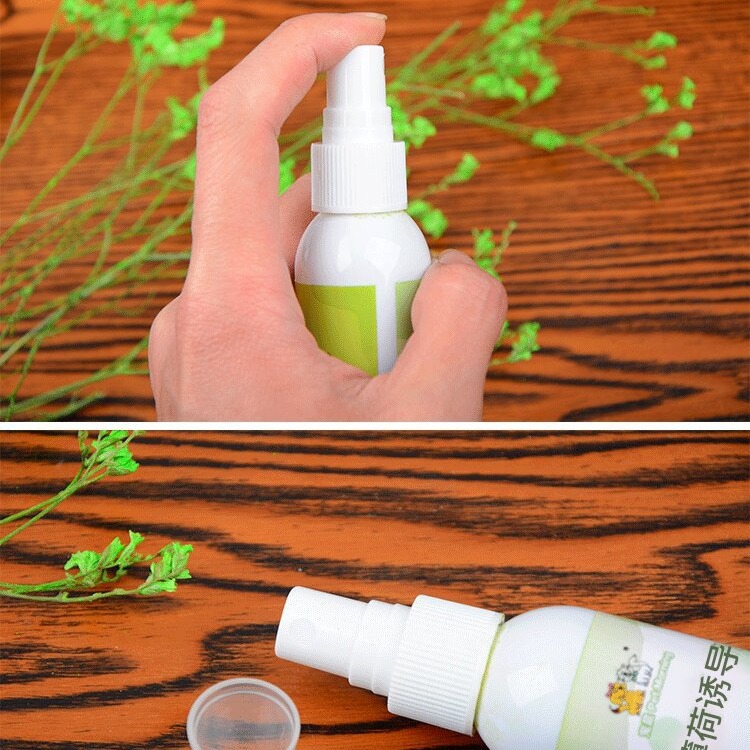 Suministros para mascotas spray de menta gatera spray inductor de spray de menta gatera juguetes para gatos tabla de agarre para gatos juguetes para gatos divertidos