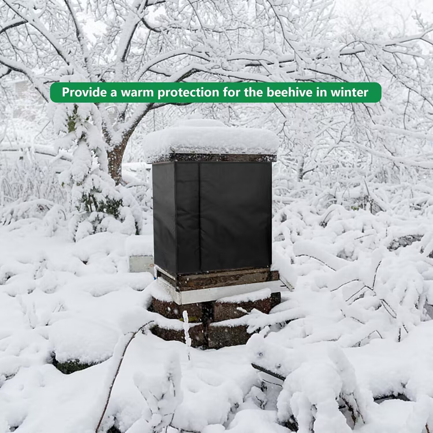 QQ图片20231012160117