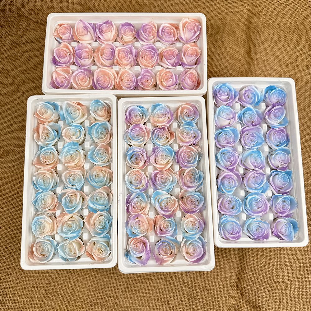 Rosa degradada eterna A+ con efecto degradado de color azul hielo, rosa seca triturada, flor preservada, fabricante de Yunnan, venta al por mayor.