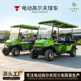 电动观光车;高尔夫球车;其他电动车