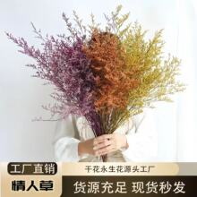 ϦˇȻֹˇ˲ݻrbSֱN