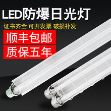 防爆灯led仓库厂房隔爆型单双管T8灯罩C厨房荧光照明防暴日光灯管
