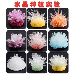 子供用栽培水晶科学実験セット手作りdiy製養結晶体成長小学生知育玩具