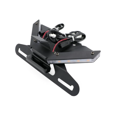 Ducati Panigale V4 955 V2: License plate holder/license plate holder