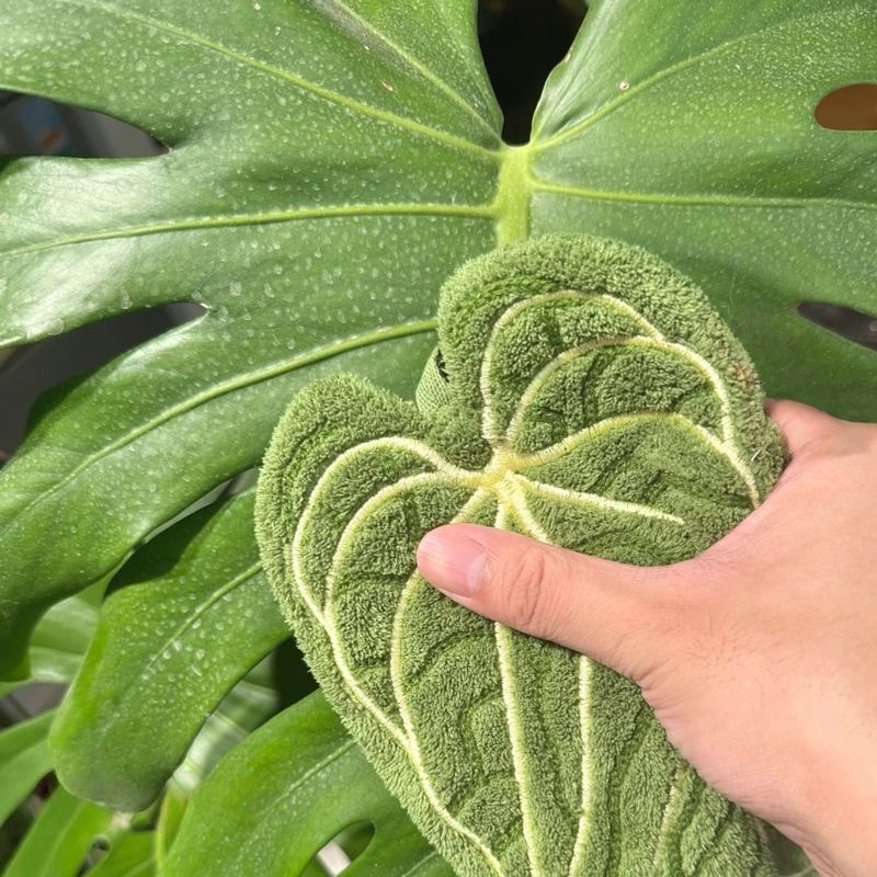 热植物毛巾花烛叶子擦手巾挂式厨房卫生间浴室毛巾抹布吸水手帕|undefined