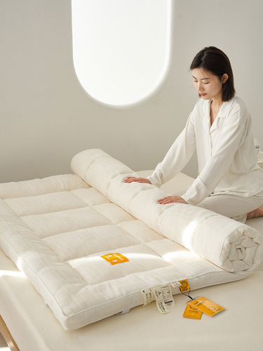 Modern simple style Class A waffle pure cotton breathable mattress Li Guanqi soybean mattress breathable and close-fitting
