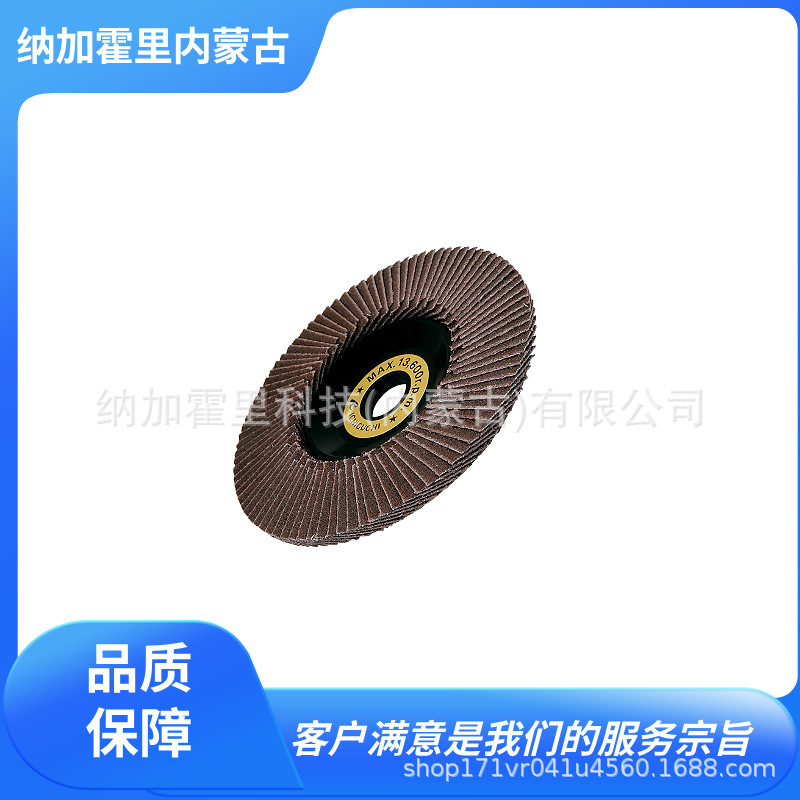 ICHIGUCHI 市口 砂轮抛光轮 TDE10015-A-40 TDE10015-A-400/60/80