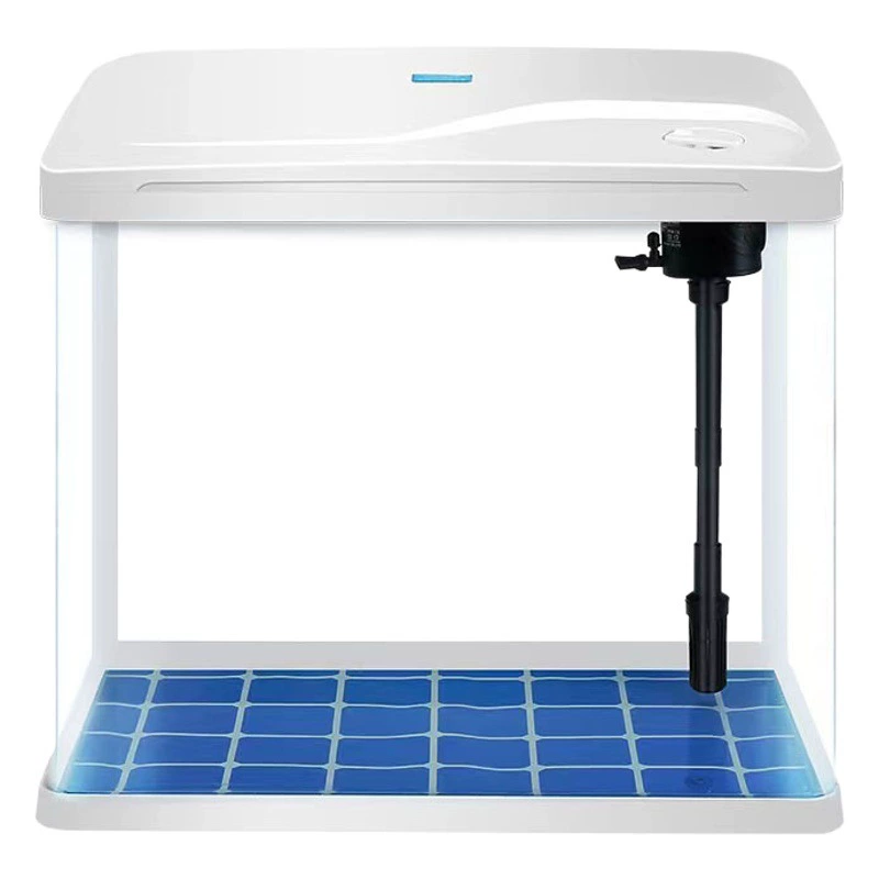 Оптовая продажа: Новинка! Аквариум изогнутой формы для экологического ландшафтного дизайна, стеклянный, с крышкой, для золотых рыбок, для гостиной, настольный, для черепах и мелких рыбок.