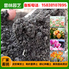 Factory sells peat soil charcoal soil nutrient soil gardens green planting and planting humus soil 20 kg/bag