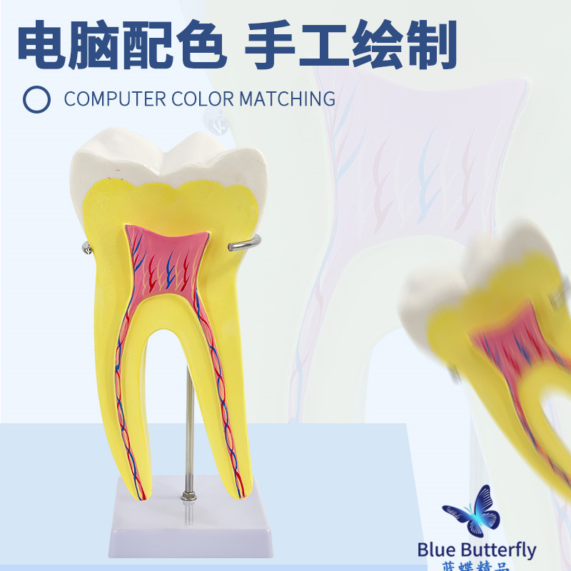 ����ĥ������ģ�� �׶�԰�̾�ҽѧ��ѧ��������ͨ�� �����֧��