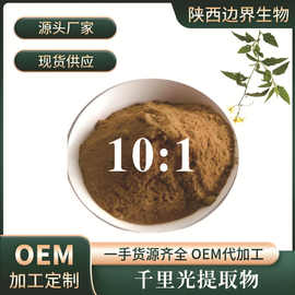 千里光提取物10:1 千里光粉 按比例提取 九里光提取 水溶